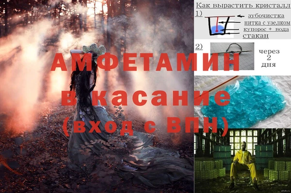 амф Алексеевка