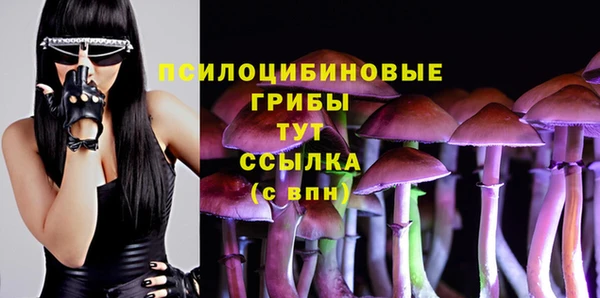 а пвп мука Армянск