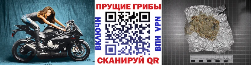 shop какой сайт  Ханты-Мансийск  Псилоцибиновые грибы GOLDEN TEACHER 
